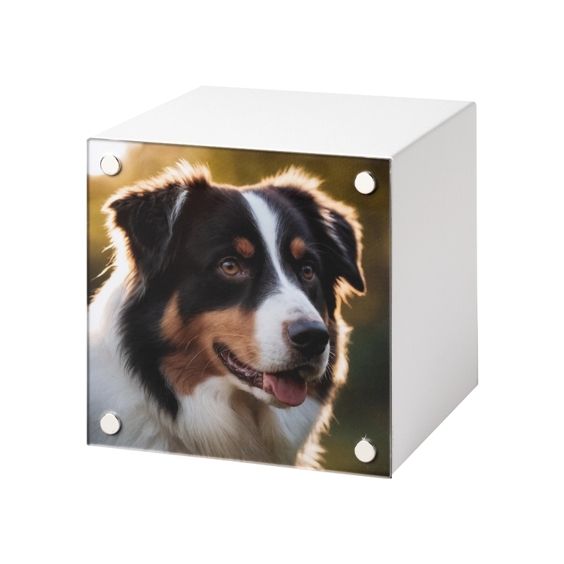 Pet Cube White Large - Metal Urn for Pets